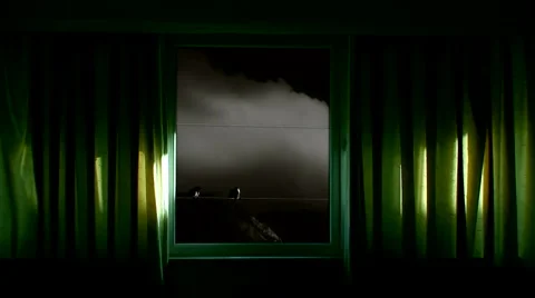 Looking out of window at birds with lightning Stock Footage 977755