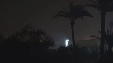 Looking out of window as a palm tree gets blown about in storm force wind and Video stock 78809682