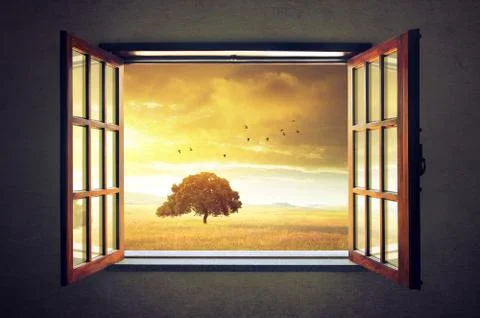 Looking out the Window Stock Photos