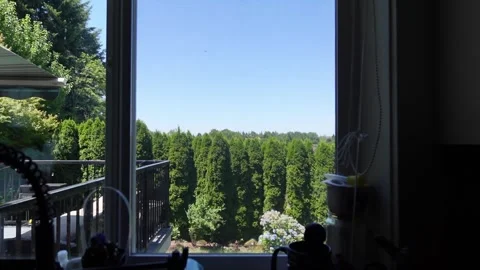 Looking out a window into tall trees. Stock Footage 340449527