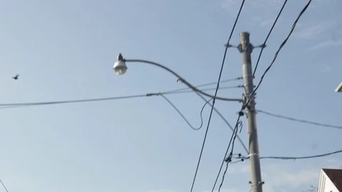 Looking up out a window while driving down the road Stock Footage 92184317