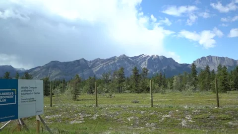 Looking out windows at Mountains while driving Vídeo Stock 244946950