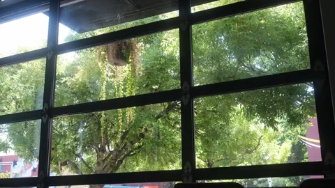 Looking outside from inside a resturant Portland OR USA September 2nd 2025 Stock-Footage 316200024