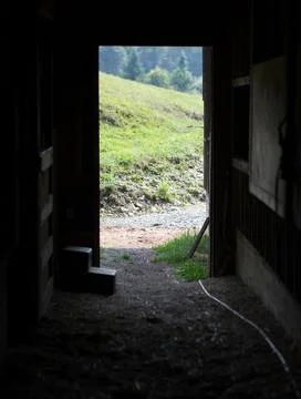 Looking outside through barn door Foto stock
