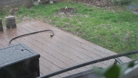 Looking outside a window to the backyard while a heavy storm brings hail Stock-Footage 305601588