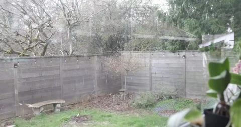 Looking outside a window to the backyard while a heavy storm brings hail Stock Footage 305601631