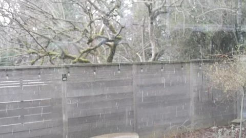 Looking outside a window to the backyard while a heavy storm brings hail Stock Footage 305601633
