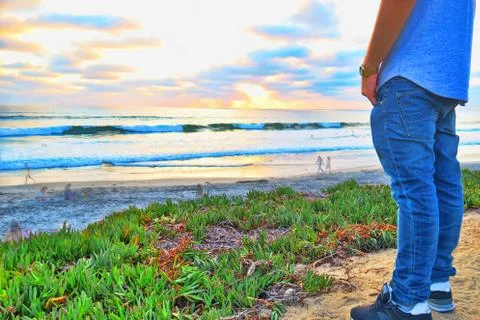Looking over the beach Stock Photos