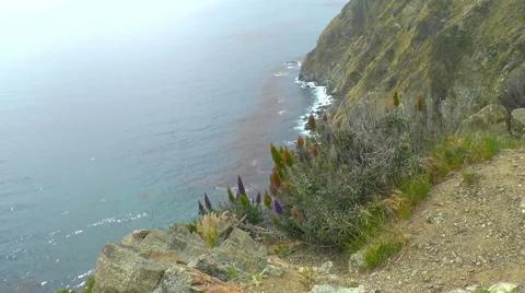 Looking Over a Cliff Toward the Shoreline of the Pacific Ocean Stock Footage 50061158