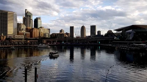 Looking over Darling Harbour Handheld Sydney City 库存影片 81061898