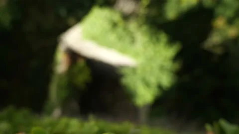 Looking Over the Edge Of An Abandoned Tower 4K Stock Footage 212080616