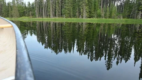 Looking over the edge of a canoe at a very calm lake reflecting an evergreen for Stock Footage 289548045
