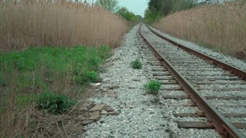 Looking over Empty Railway Tracks. Stock Footage 75266033