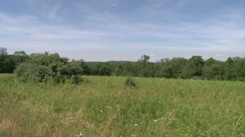 Looking over a field with trees in the background (2 of 2) Stock Footage 8981681