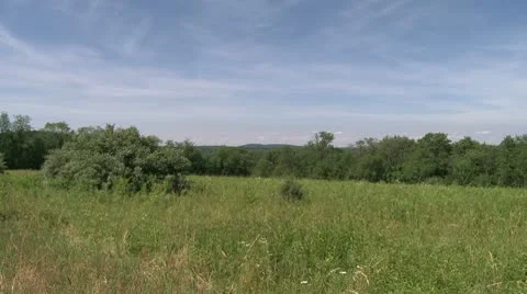 Looking over a field with trees in the background (1 of 2) Stock Footage 8981687