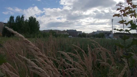 Looking over Grass Field to Abandoned Buildings in Distance 4k60fps Stock Footage 136235824