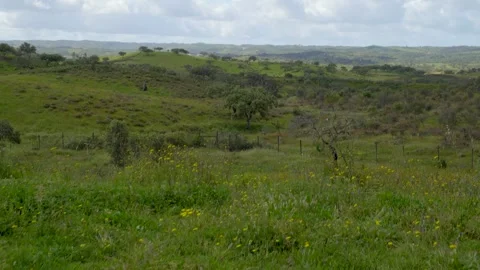 Looking up over green landscape Stock Footage 273674330