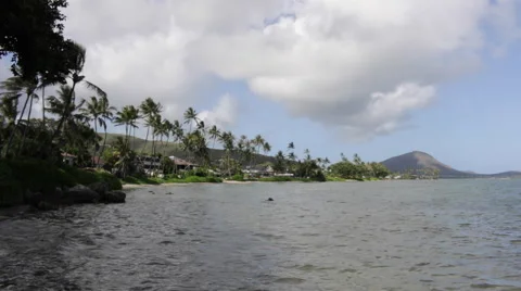 Looking over Kailua bay towards beachfront homes lining the shore in Oahu Video stock 49910669