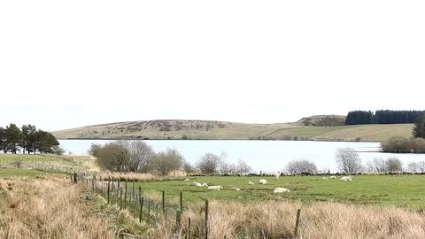 Looking over Loch coulter Stock Footage 74641246