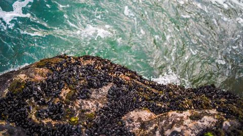 Looking Over Ocean Cliffs Stock Photos