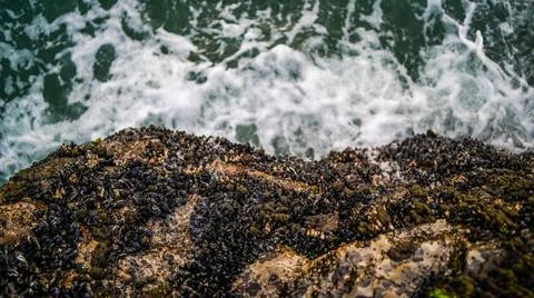 Looking Over Ocean Cliffs Stock Photos