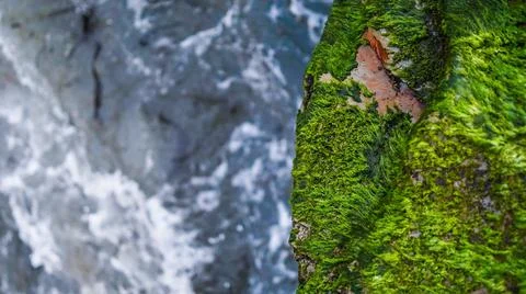 Looking Over Ocean Cliffs Stock Photos