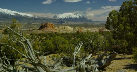 Looking over the painted monoliths of Strike Valley toward Mt. Pennell Stock Footage 124423700