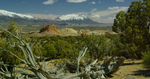 Looking over the painted monoliths of Strike Valley toward Mt. Pennell Stock Footage 124432962