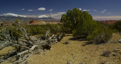 Looking over the painted monoliths of Strike Valley toward Mt. Pennell Stock Footage 124440678