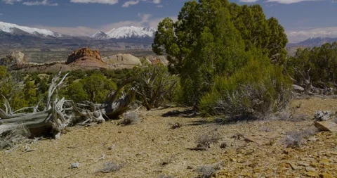 Looking over the painted monoliths of Strike Valley toward Mt. Pennell Stock Footage 124444010