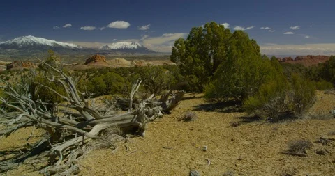 Looking over the painted monoliths of Strike Valley toward Mt. Pennell Stock Footage 124522866