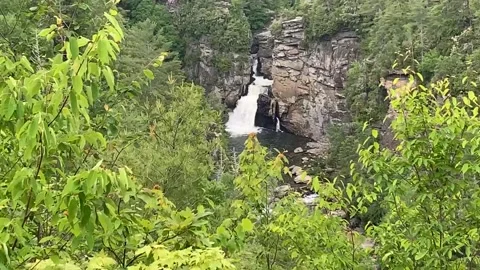LOOKING OVER THE TREETOPS DOWN AT LINVILLE FALLS WATERFALL Stock Footage 132290944