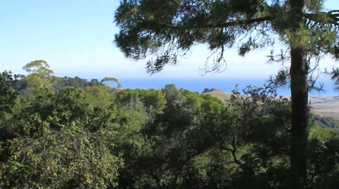 Looking at the Pacific Ocean from a bevy of underbrush Stock Footage 27558190