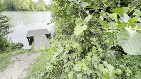 Looking past large leaf towards wooden dock panning Видео 334760132
