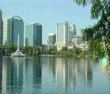 Looking past the tree Video stock 484099