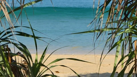 Looking at the pathway of the palm trees on the beach 库存影片 119015017