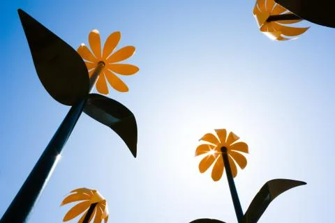 Looking up Stock Photos