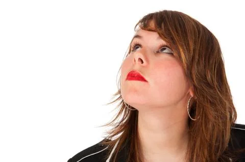 Looking up Stock Photos