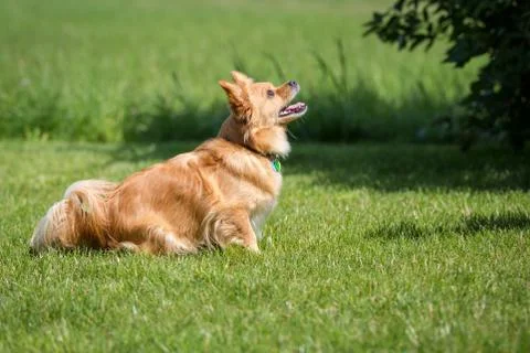 Looking Up Foto stock