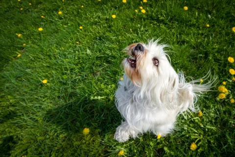 Looking Up Stock Photos