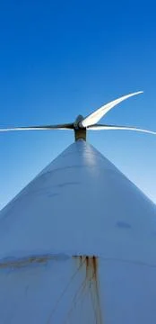 Looking up? Stock Photos