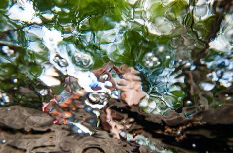 Looking up Stock Photos