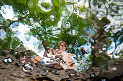 Looking up Stock Photos