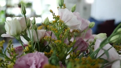 Looking at pink roses Stock Footage 246648896