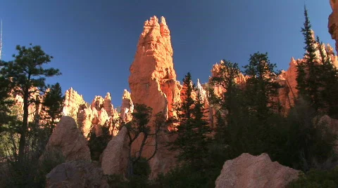 Looking Up at Pinnacles from the Bottom of Bryce Canyon National Park, Utah Stockbeeldmateriaal 159916