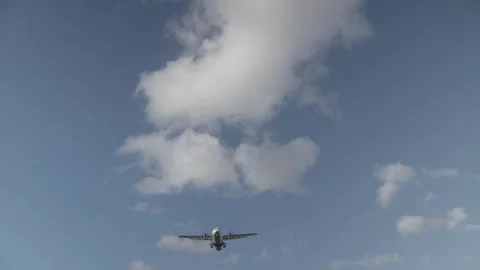 Looking up as a plane goes over Stock-Footage 204833011