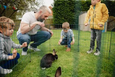 Looking at the Rabbits Fotos Stock