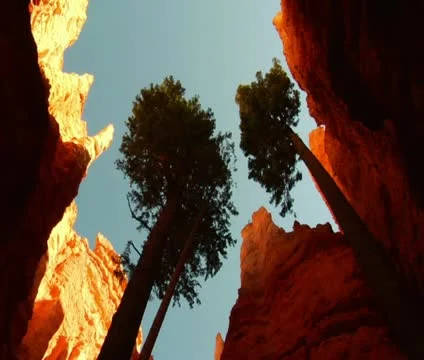 Looking up in red rock Canyon Stock Footage 21640601