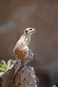 Looking right from higher ground Stock Photos
