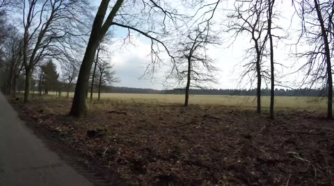 Looking right over towards grass field moving fast over forest road showing 4k Stock Footage 61058443